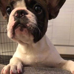 Meet your Posher, Kaye